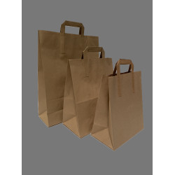 Kraft Paper Bags - Boxed in 250's