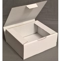 Postal Boxes - White Corrugated Postal Boxes - White Corrugated